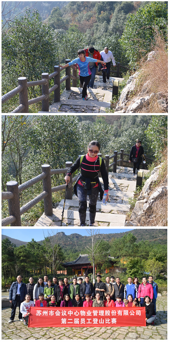 管理公司登山比赛活动报道