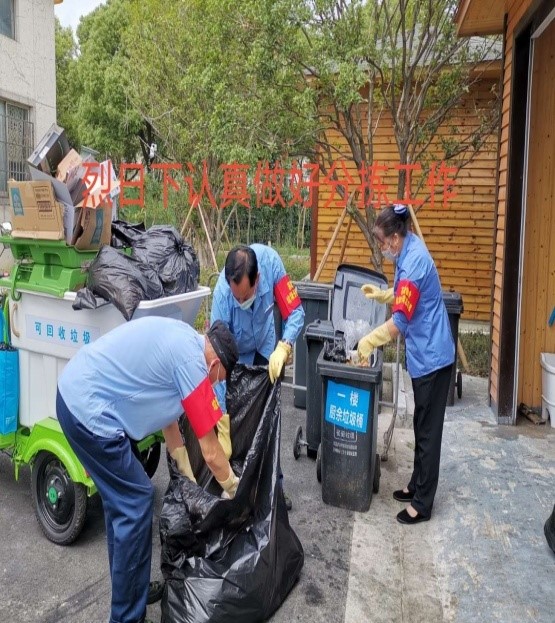 苏政垃圾分类工作---行动篇